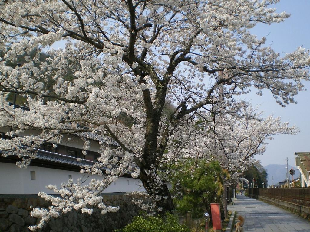 Terakoya Hanatei Asago Esterno foto